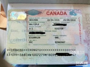 專業(yè)代辦美國、加拿大、澳大利亞、新西蘭等國簽證服務(wù)