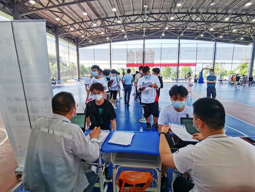 疫情影響下蔡甸職校生 從校門到廠門無縫對接，職業中介服務助力就業關